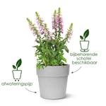 vibia straight rond 40cm living concrete